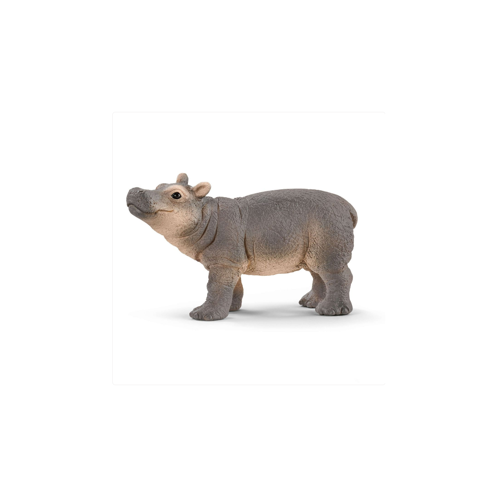 Bebe Hippopotame Schleich